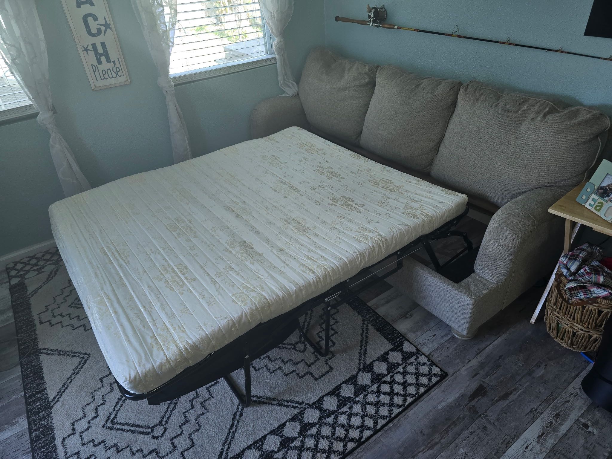 Pull Out Couch