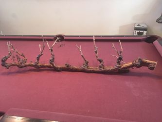 Wine Vine With Lights