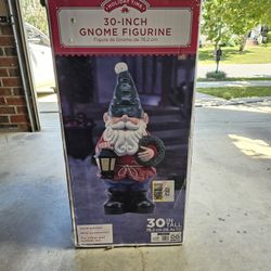 Found Gnomes In The Attic 