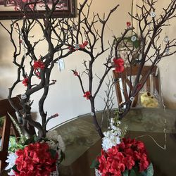2 manzanita tree branches