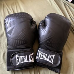Everlast Boxing 