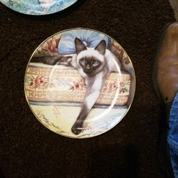 Vintage Cat Plate. Have Plenty More If Interested