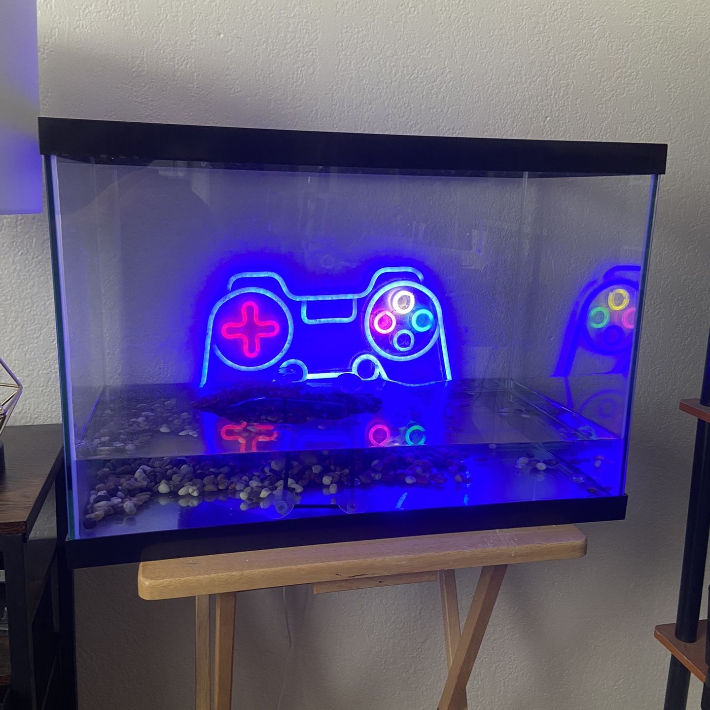 20 Gallon Fish Tank 