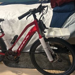 Electric Bike
