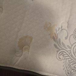 Queen Mattress/ Box