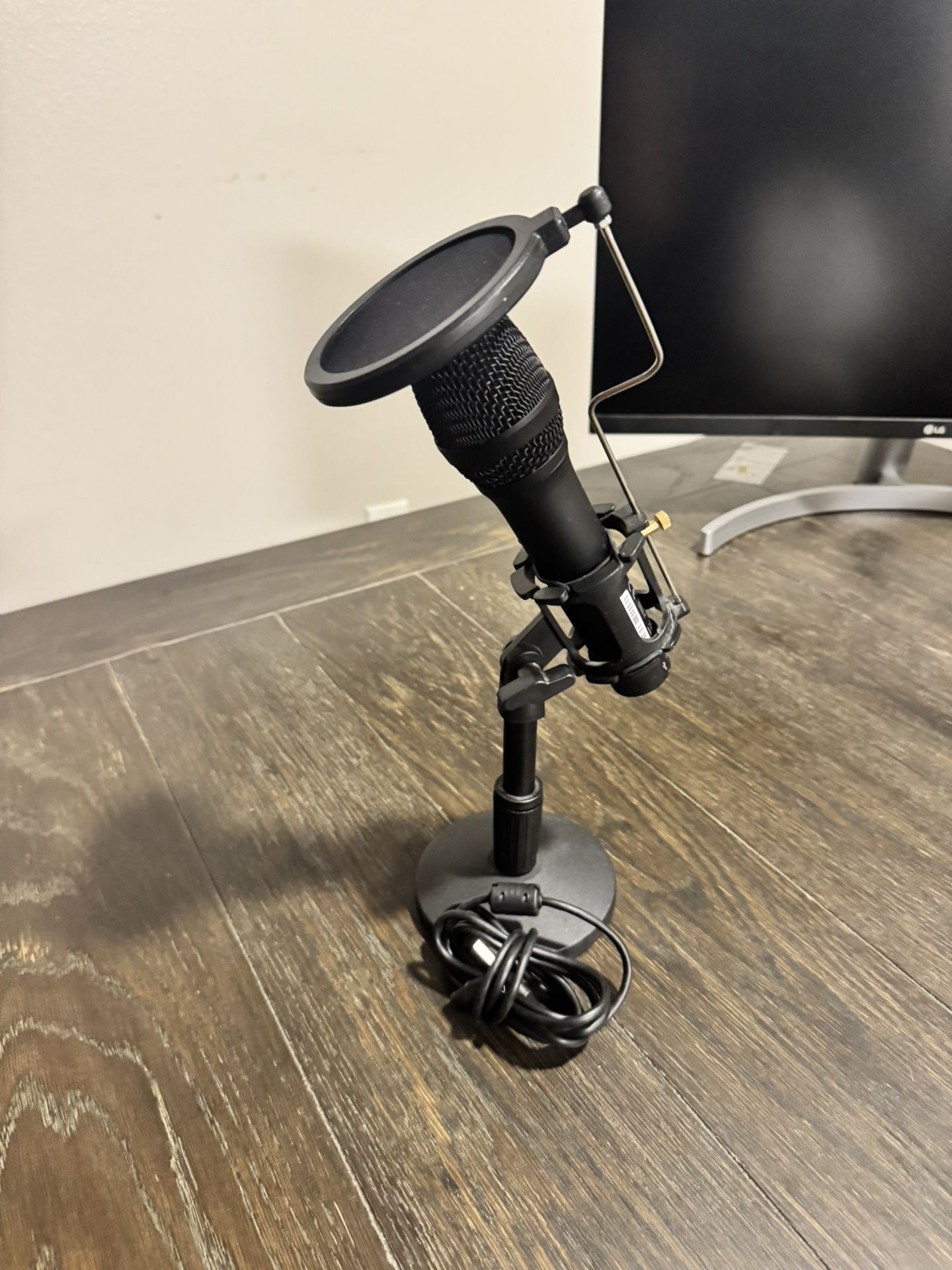 Podcast Mic