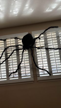 Halloween Decor