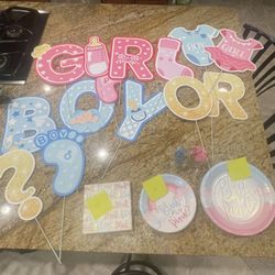Balloon Arch Baby Reveal Decor