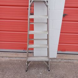 WERNER 6 Ft Aluminum Ladder