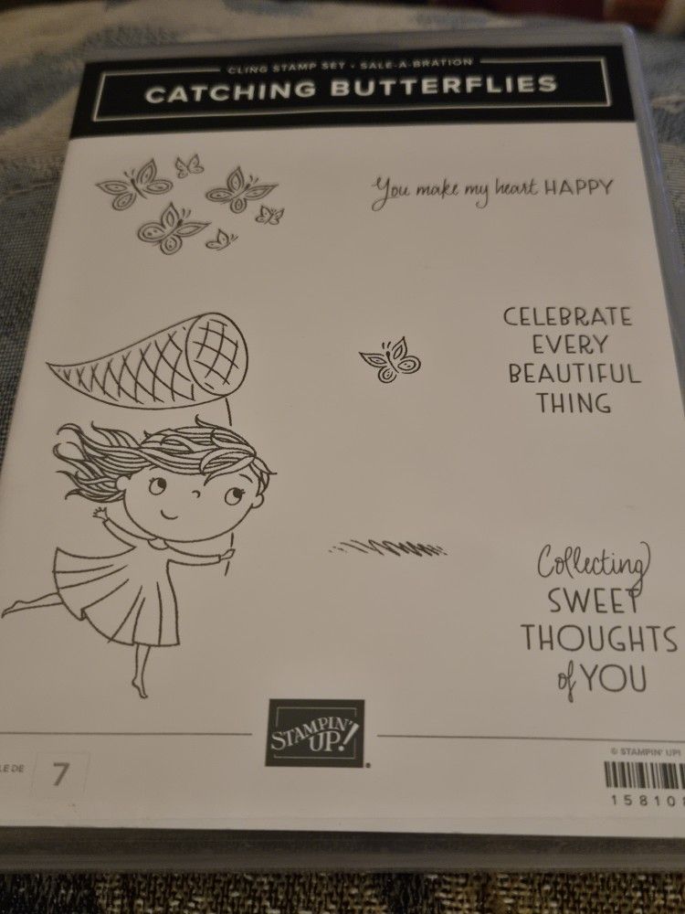 Stampin Up Catching Butterflies