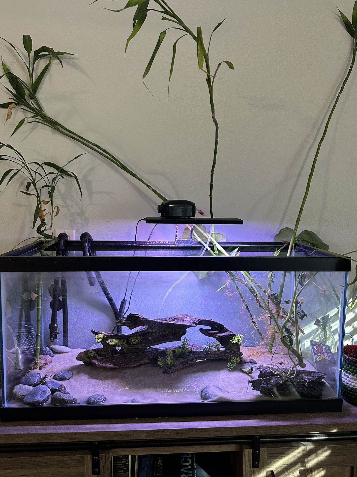 40 Gal Fish Tank
