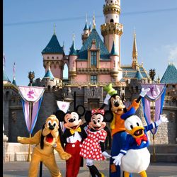 DISNEYLAND 🎢🍿🥤🥨🍦(4) TICKETS 🎟️ 🎟️🎟️🎟️ $600 PRICE FIRM