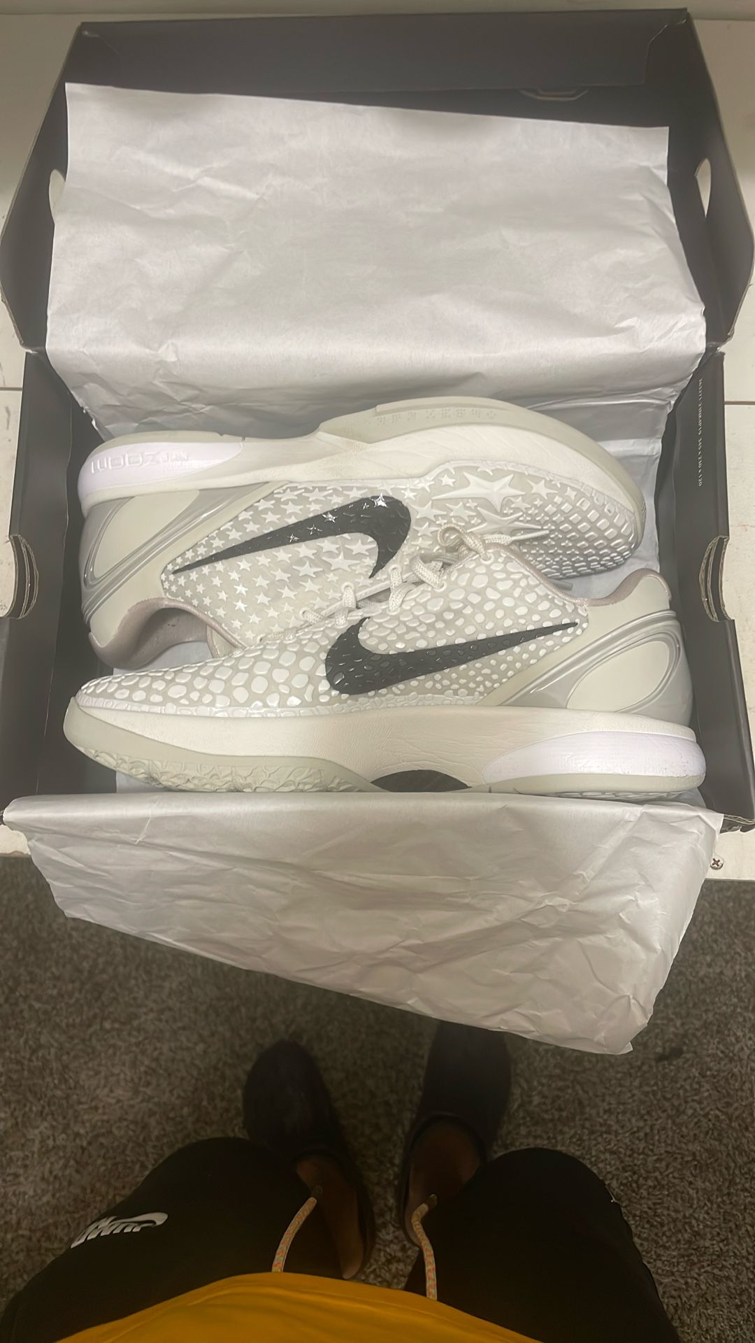 Kobe Vi Protro