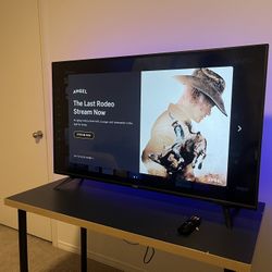 Vizeo 49.5” TV