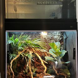 40 Gallon Aquarium 