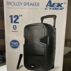 12” Aek Bluetooth Rechargeable Speaker With Microphone And Led Display Lights🎤🔊🎶