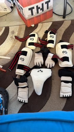 Taekwondo Sparring Gear Set