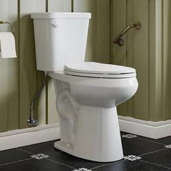 Seeking Local Plumber for Toilet