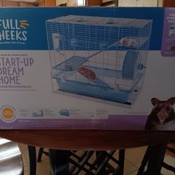 Hamster Start Up House