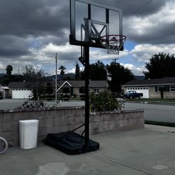 Lifetime Basketball Hoop