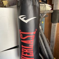 Everlast 100lb Punching Bag/ UFC/Boxing Gloves for Sale in Fresno, CA -  OfferUp