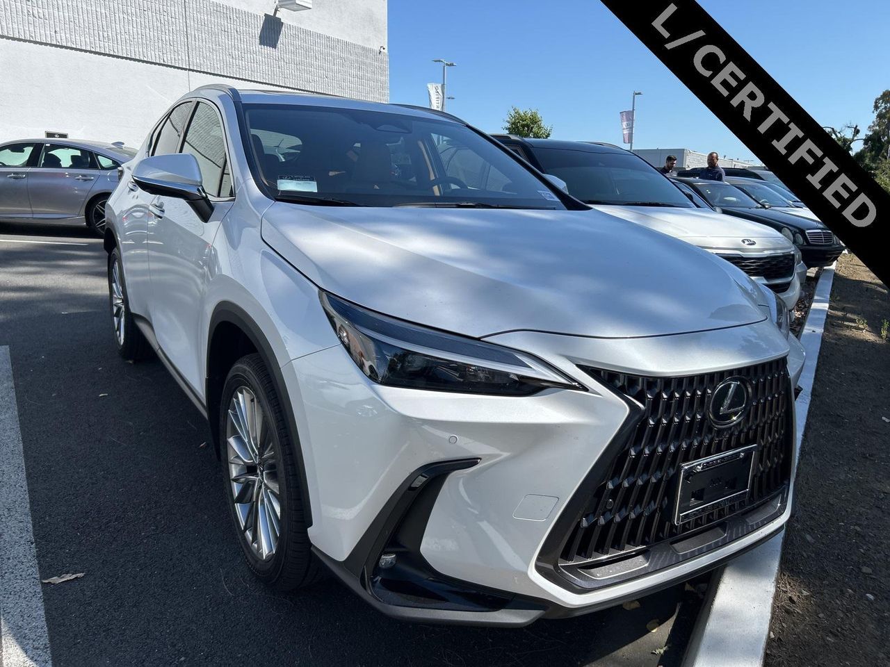 2025 Lexus NX 350