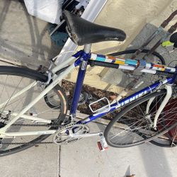 Vintage Nishiki Altron 7000 Road Bike