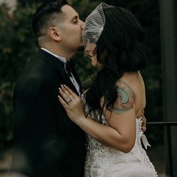 Elegant Birdcage Veil 