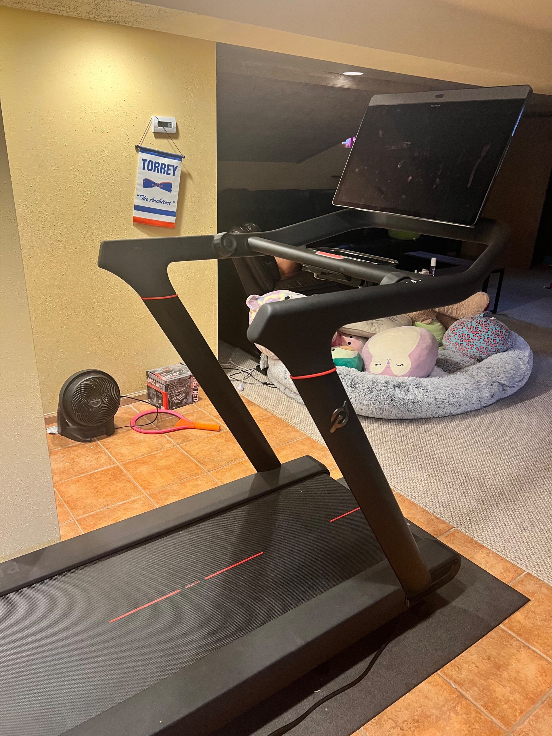 2023 Peloton Tread, ~171 Rides, East Northport