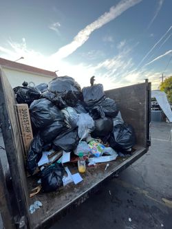 Dump trailer trash haul