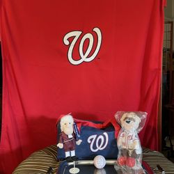 Awesome Washington Nationals Fan Gift Bag! 