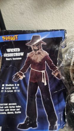 Wicked scarecrow boys costume