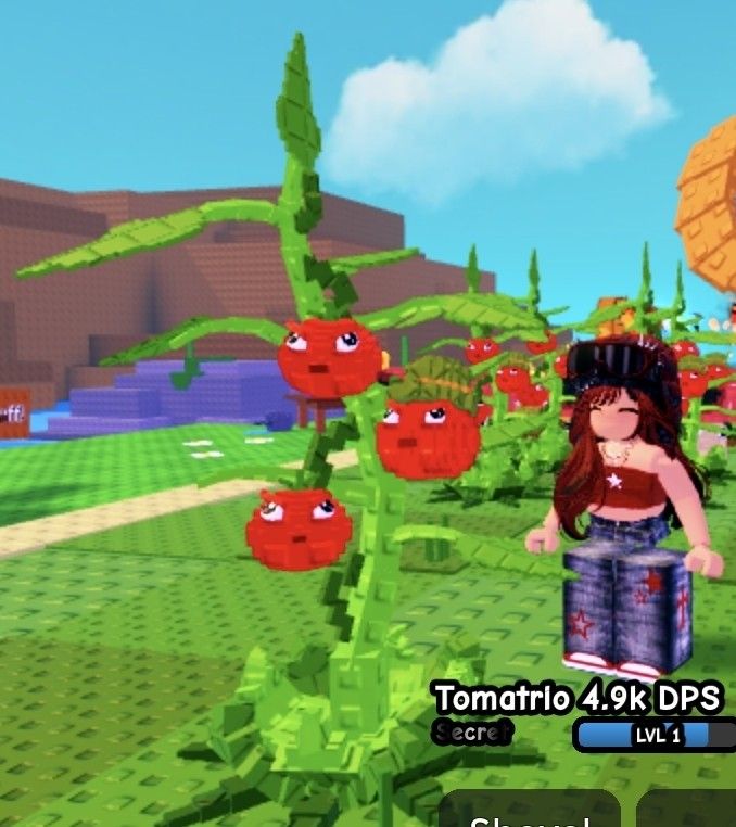 Tomatrio Secret 4.9k Drops Per Second 