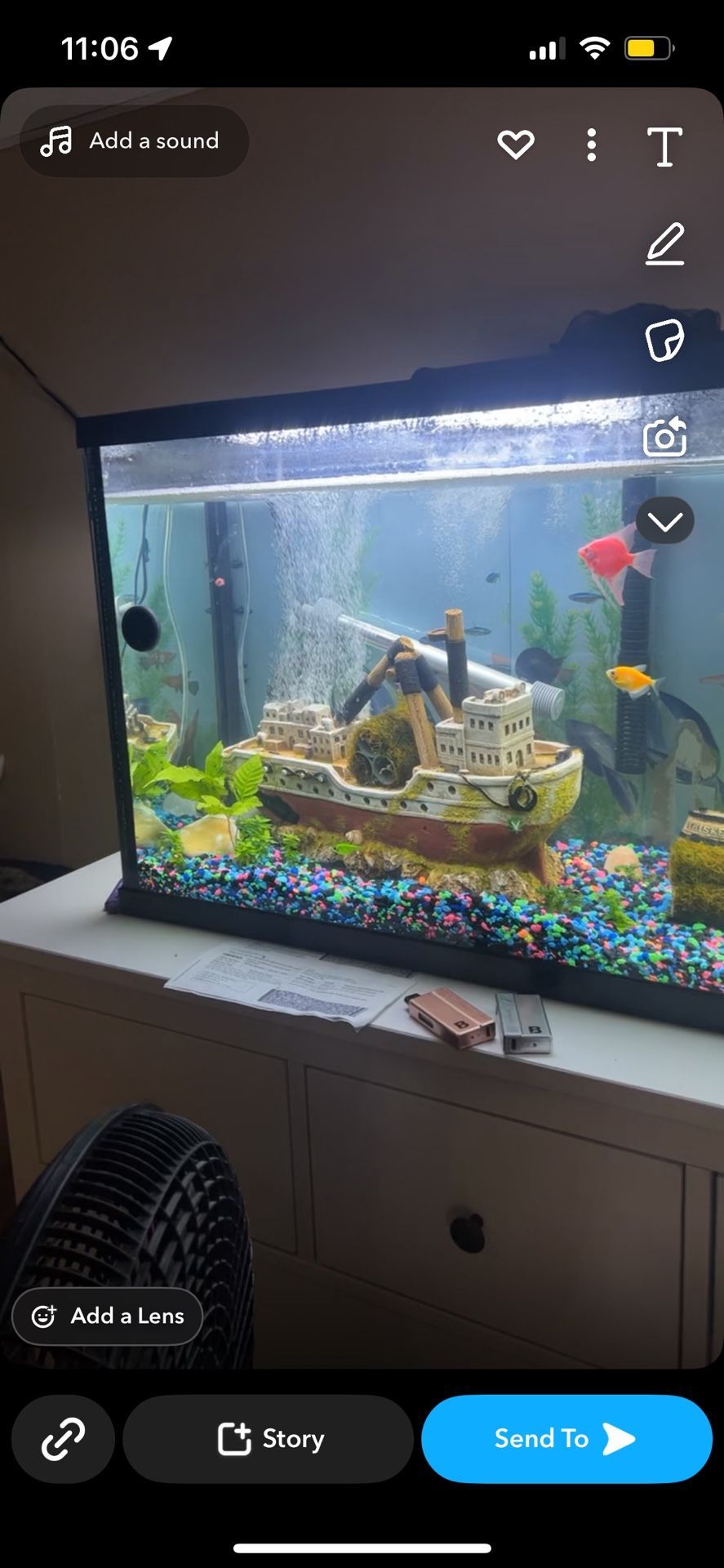Fish Decor