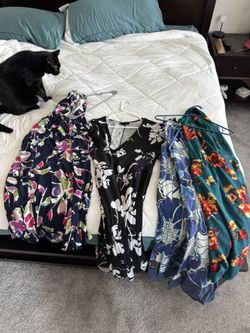 Woman’s Dresses