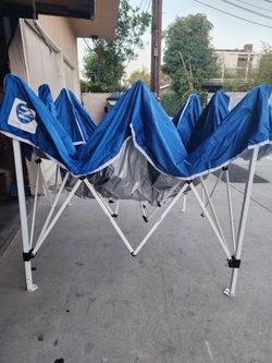 Canopy 10×10