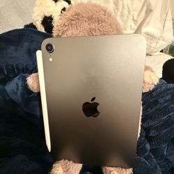 iPad mini (6th Gen) Wi-Fi Only- 64GB - Space Gray