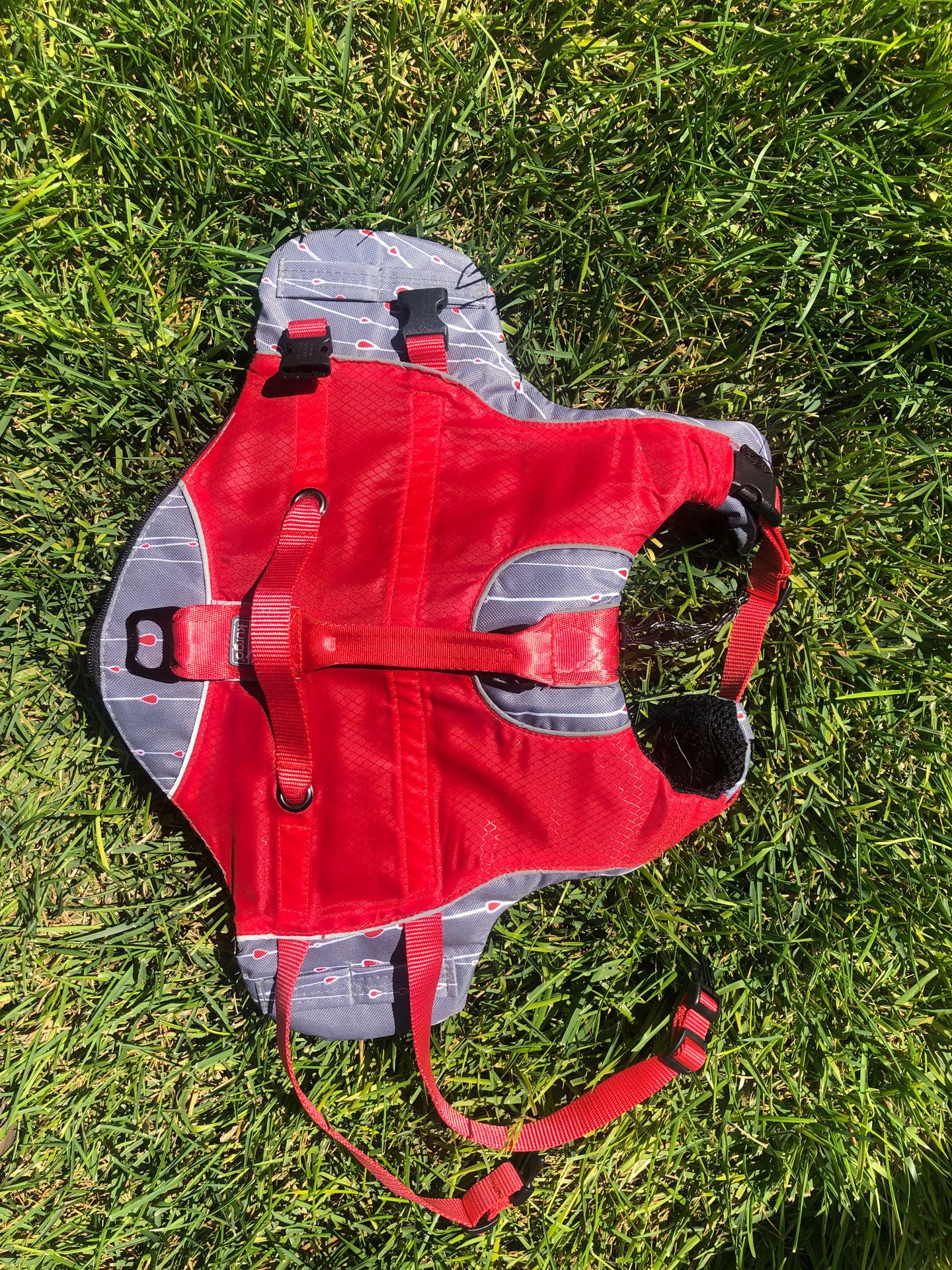 Small Kurgo Dog Life Vest