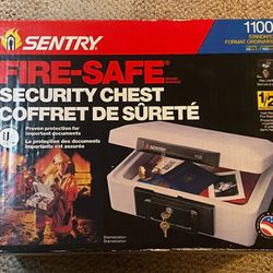 Fire-safe security chest (Sentry)