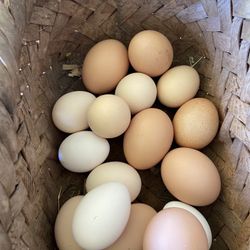 Fresh Organic Eggs