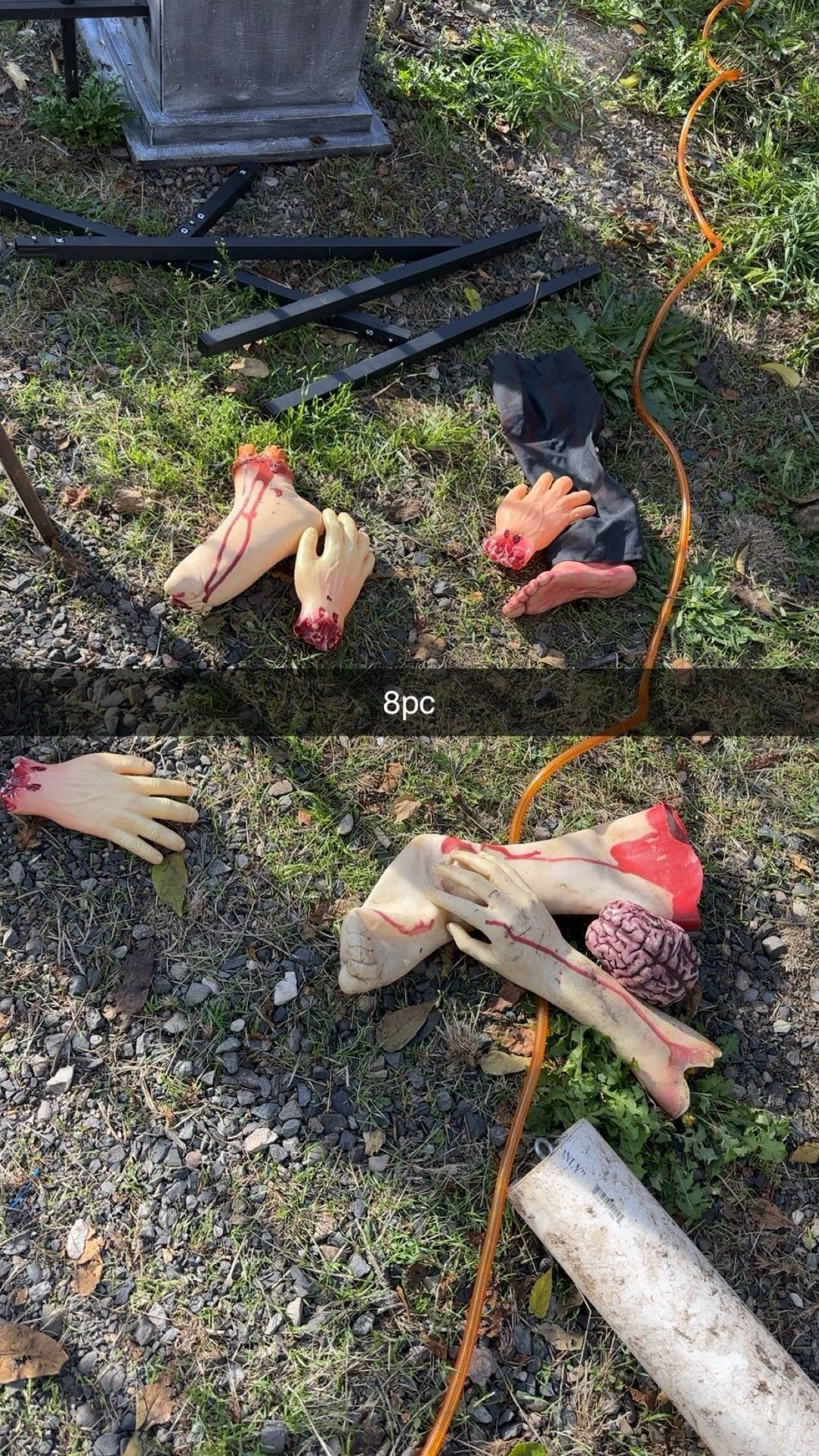 Sever Body Parts, Halloween props