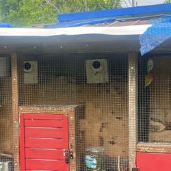 Cage For Lovebird