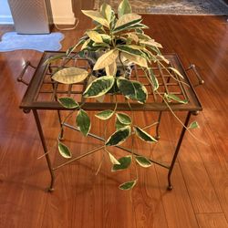Sturdy metal plant stand perfect for displaying indoor plants. Rectangular top with open grid design and side handles. Strong and well made and holds 