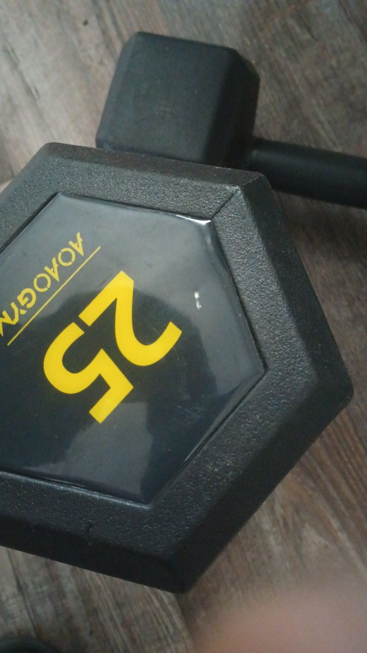 25 Pound Dumbbells