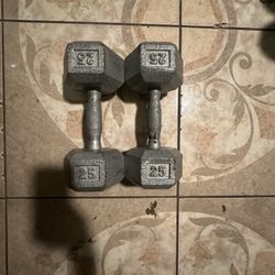 25 Pound Dumbbells READ DESCRIPTION*