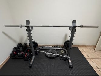 Gym Equipment – Bowflex SelectTech 552, Rogue Plates, Barbell, EZ Curl, Bench, Squat Rack, Dumbbells