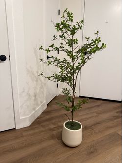 Faux black olive tree