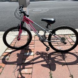 Mountain bike