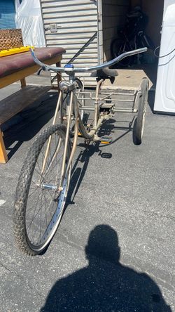 Tricycle project bike
