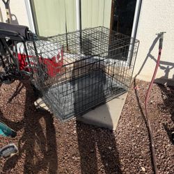 Dog Kennel